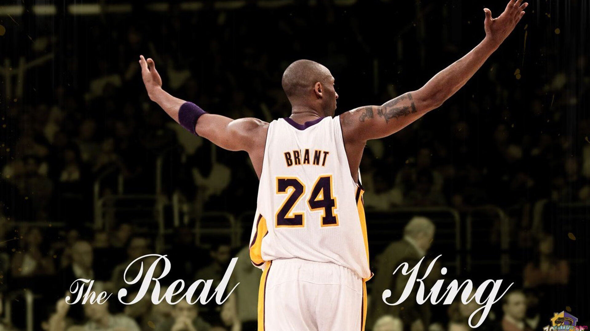 球员技术精湛，将带来惊艳表现！，技术性球员